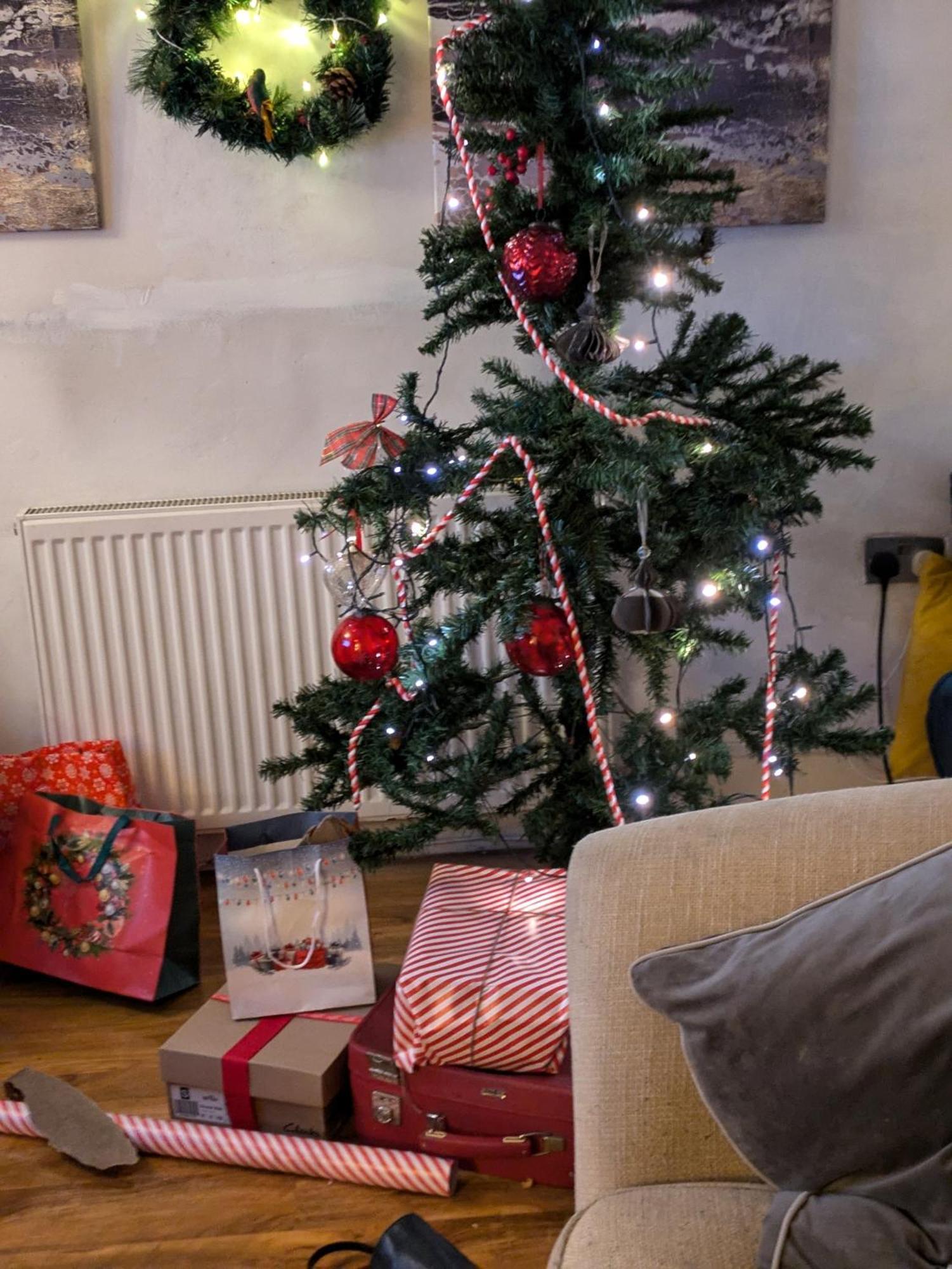 The Cottage Bristol Esterno foto
